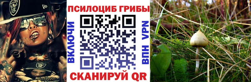 Галлюциногенные грибы Cubensis  купить наркотик  Узловая 