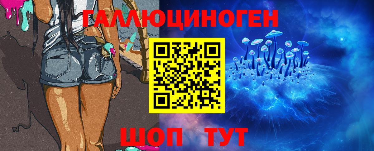 Псилоцибиновые грибы GOLDEN TEACHER Узловая