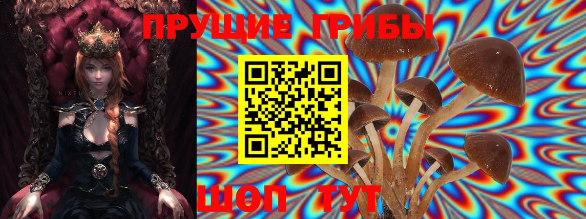 Галлюциногенные грибы мицелий  Вход с VPN  Узловая 