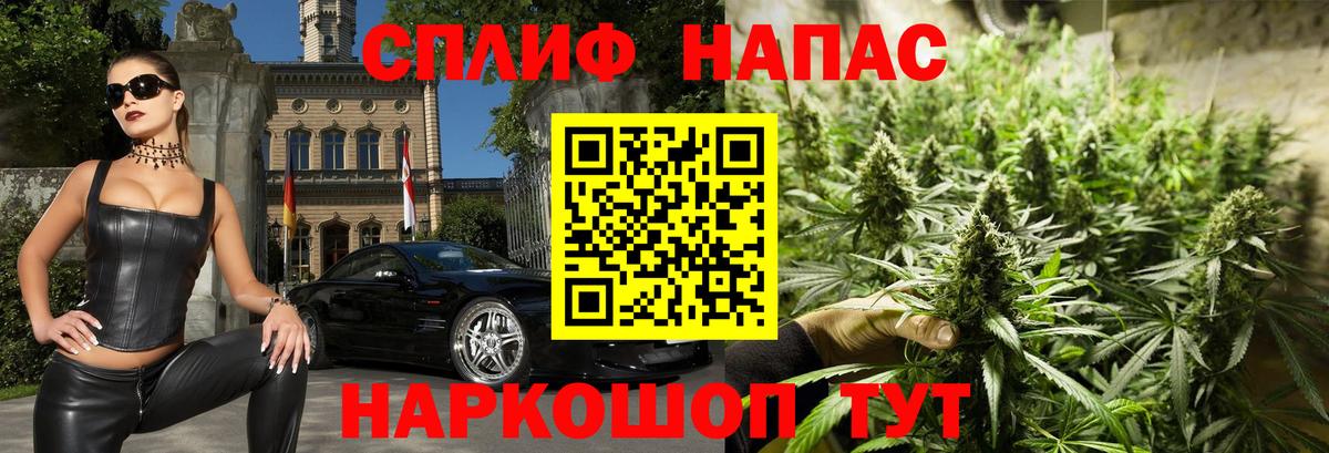 Канабис индика Узловая